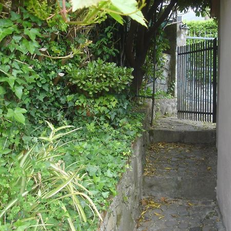 Sunflower Cosy Cottage - Il Girasole Monterosso al Mare Exterior photo