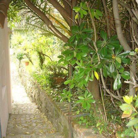 Sunflower Cosy Cottage - Il Girasole Monterosso al Mare Exterior photo