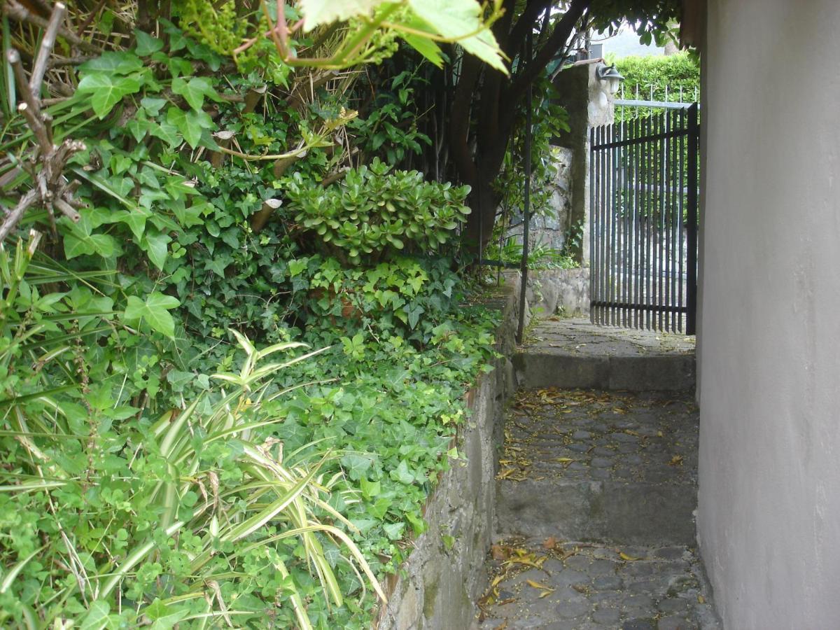 Sunflower Cosy Cottage - Il Girasole Monterosso al Mare Exterior photo
