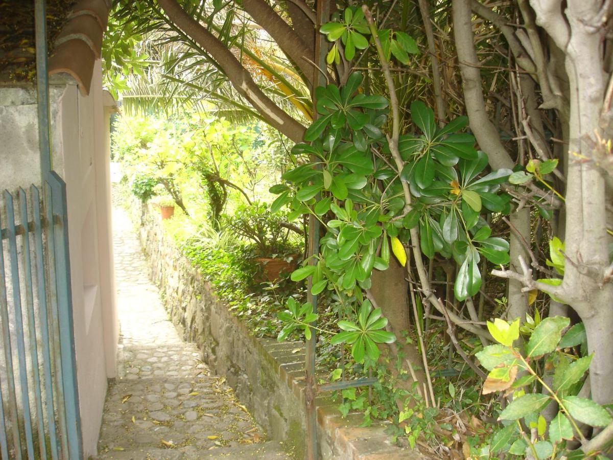 Sunflower Cosy Cottage - Il Girasole Monterosso al Mare Exterior photo
